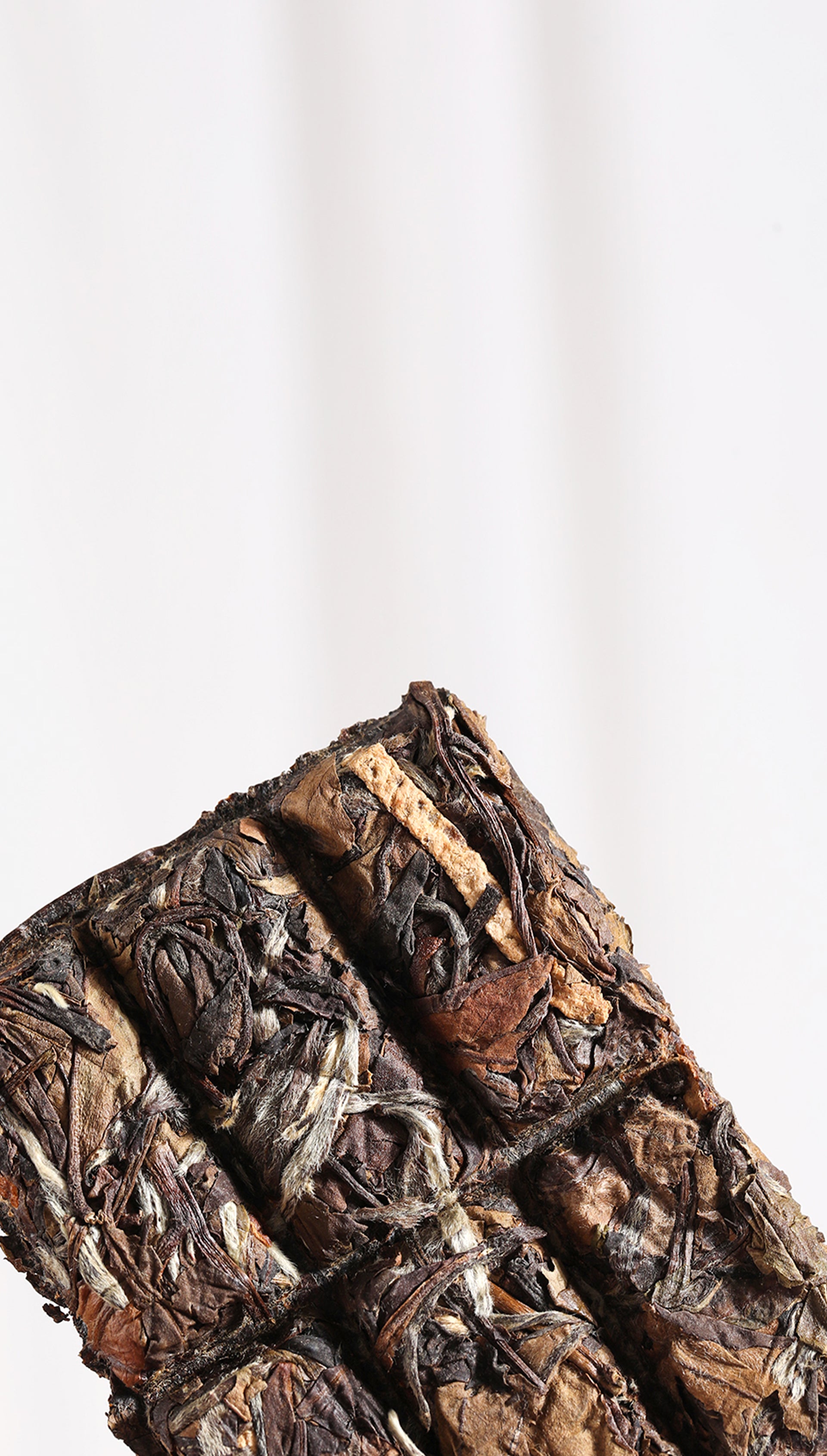 2018 Organic Chenpi White Tea Bar (30g)