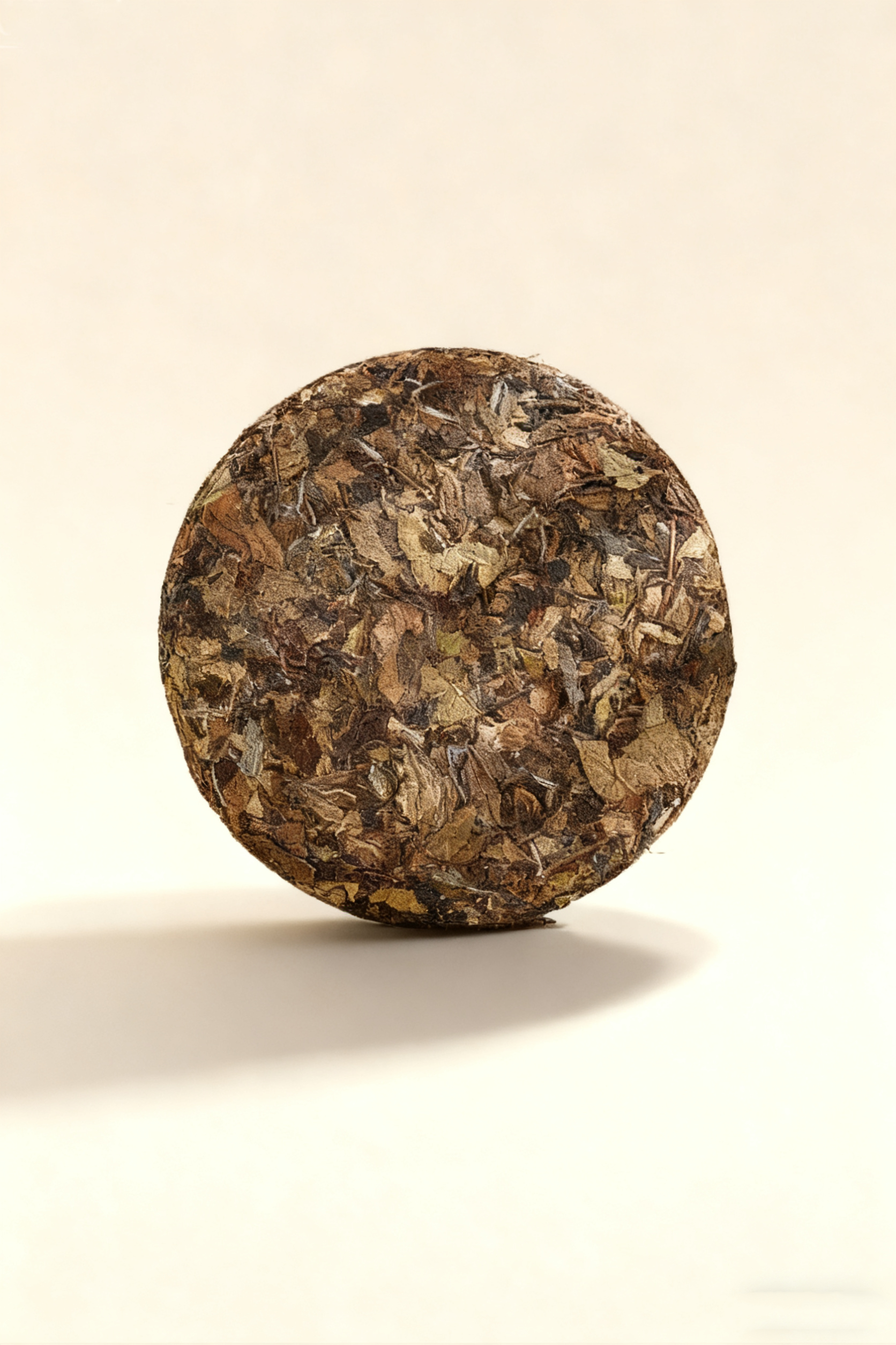 2014 Organic ShouMei White Tea Cake (300g)