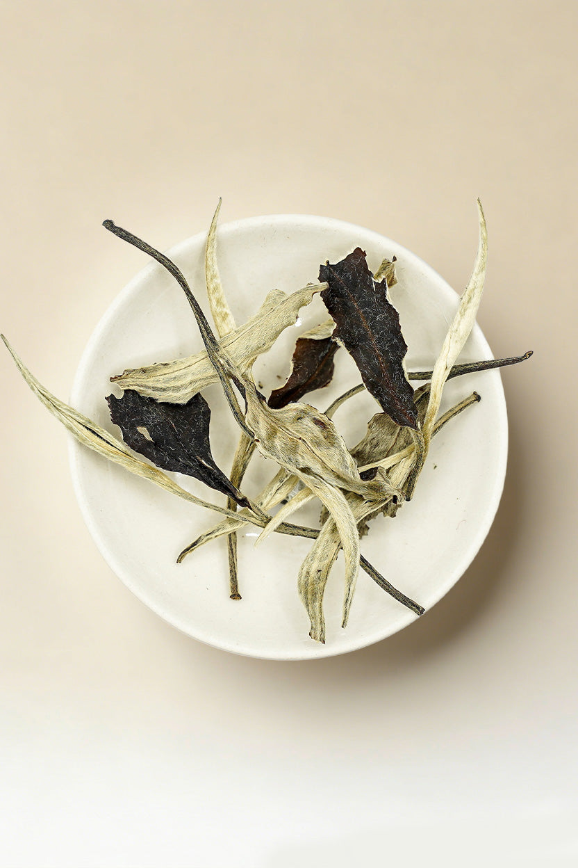 Moonlight White Tea Yunnan Ancient Tree